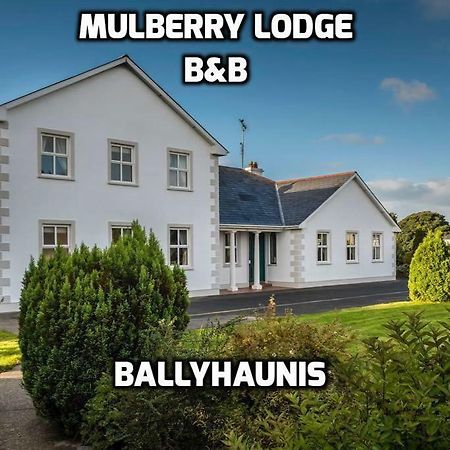Mulberry Lodge Guest House 巴利霍尼斯 外观 照片